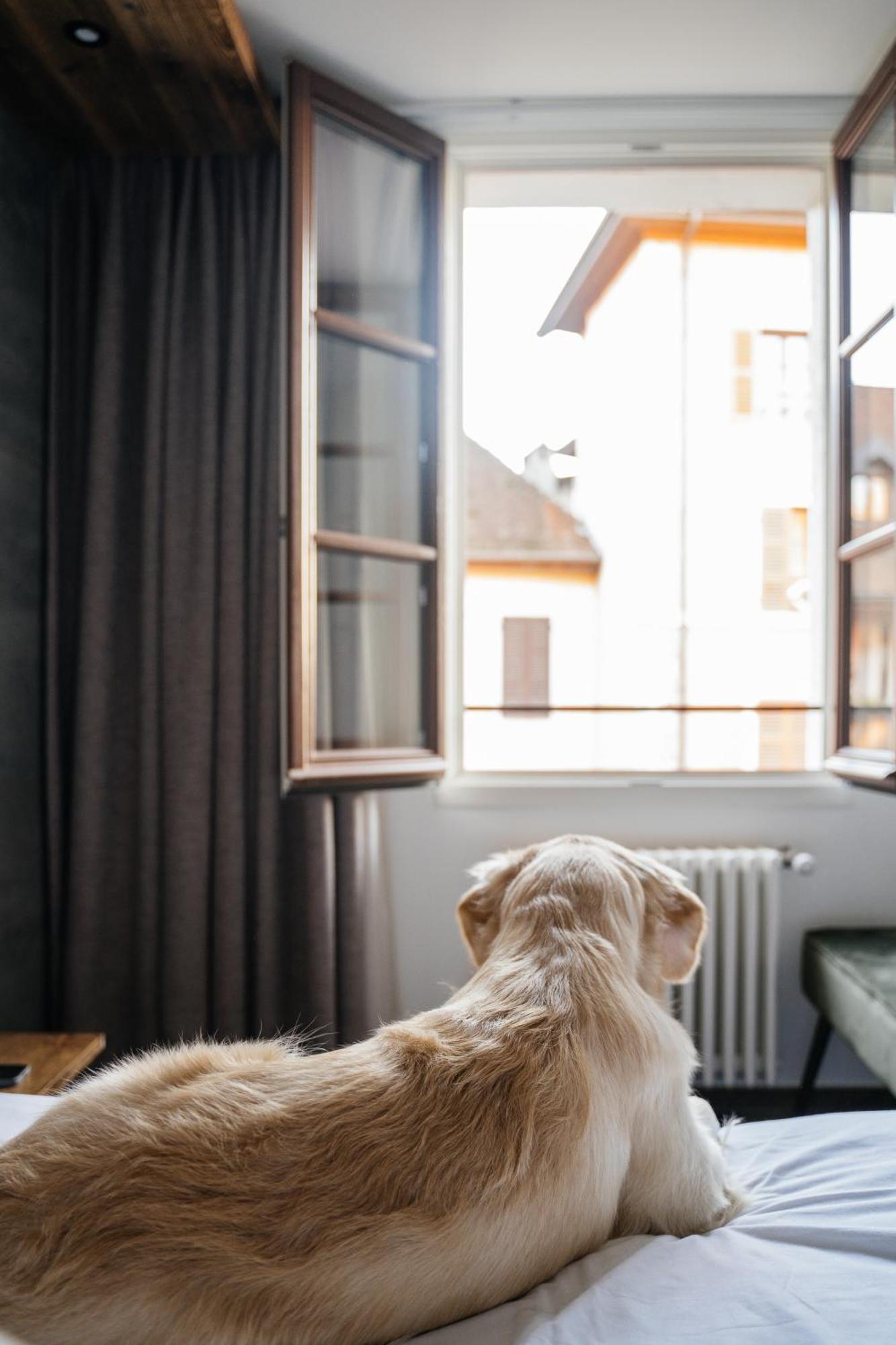 Auberge Du Lyonnais Annecy Ngoại thất bức ảnh